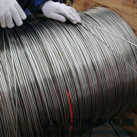 4.0mm ͚⾮Âй|,OPPC|SADSS|r24оOPGW|
